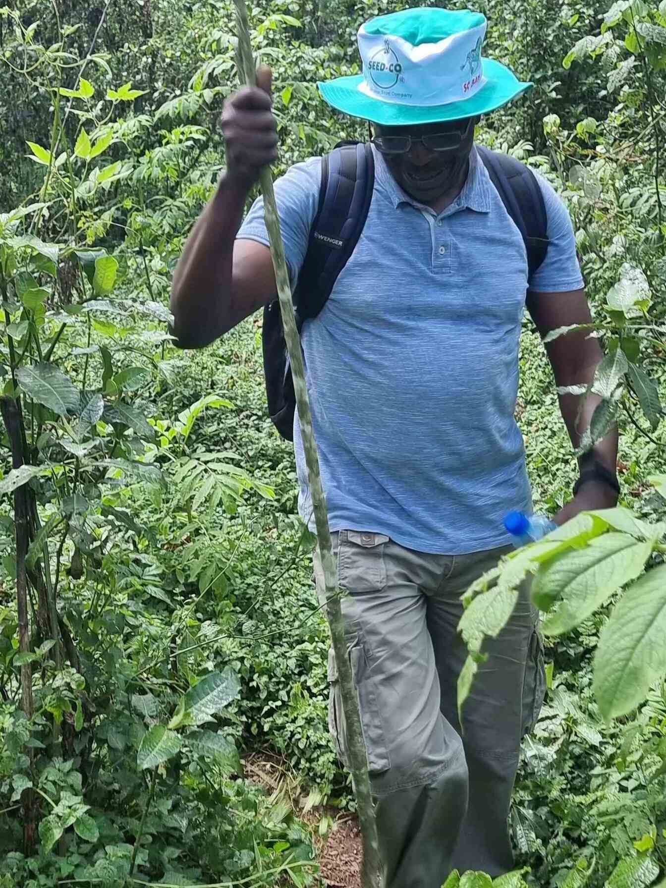 Tegemeo Staff Day out: The Kereita Forest Hike.