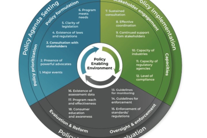 Assessment of the policy enabling environment for large-scale food fortification: A novel framework with an application to Kenya