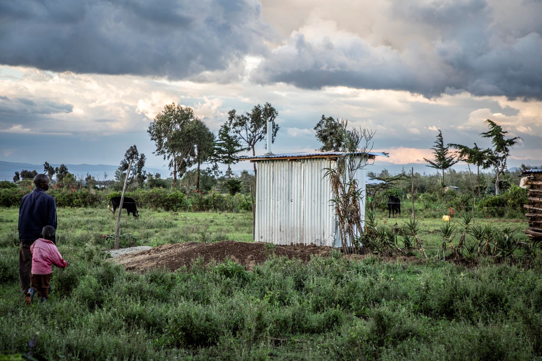 Can relaxed COVID-19 restrictions ease food insecurity among the rural population in Kenya?