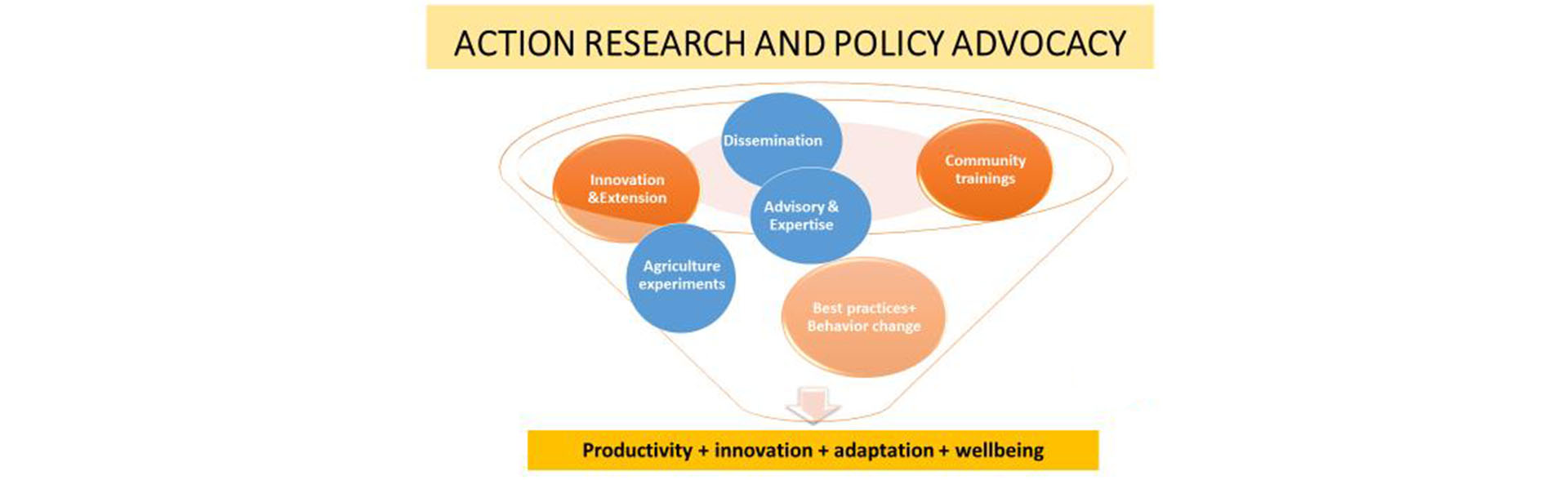 POLICY RESEARCH